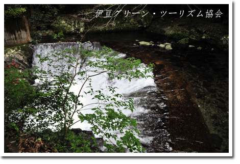 出合滝（河津七滝）