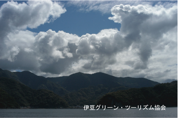 今日も夏日