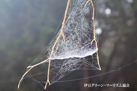 揺りかごのよう