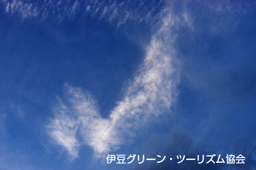 コントラスト