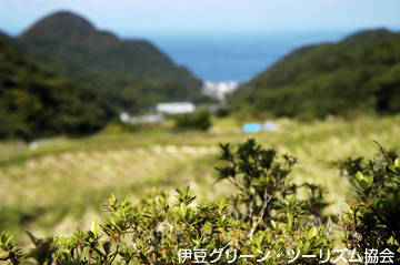 石部の棚田