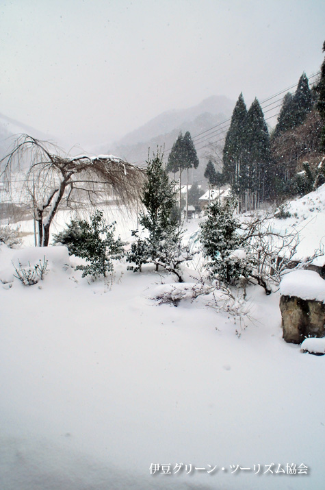 島根県にいます