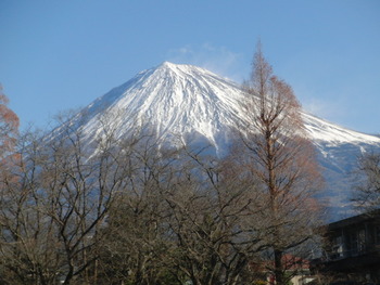 孫と初詣