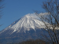 孫と初詣