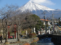 孫と初詣