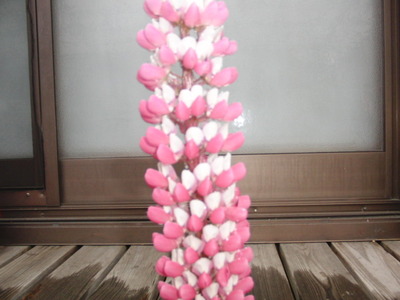 自宅の花壇