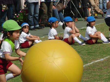 今日は孫の幼稚園の運動会です。バアバも玉入れに参加