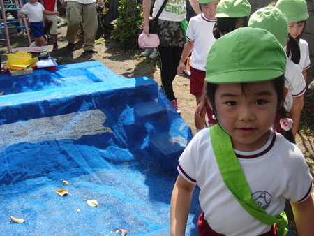 今日は孫の幼稚園の運動会です。バアバも玉入れに参加