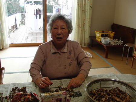 しいたけの石づきをきれいにしましょう。乾燥にはまだまだ。
