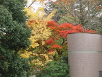 11/１３・11/14日　支部代表者会議・全国研修会で仙台へ