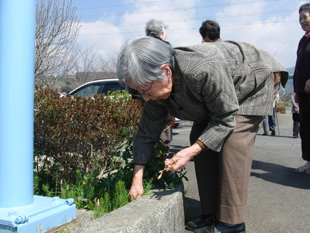 今日は花見出かけました。お昼は花見御膳で祝いましょう。