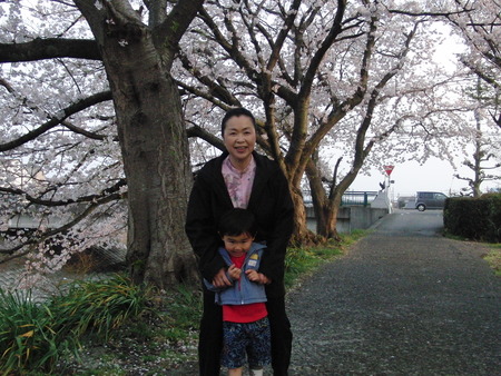自宅近く須津川の桜並木を孫とお散歩
