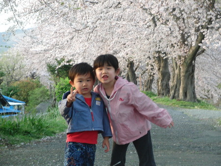 自宅近く須津川の桜並木を孫とお散歩