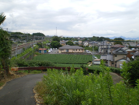 ちょっと涼しくなってきました・散策です　☆