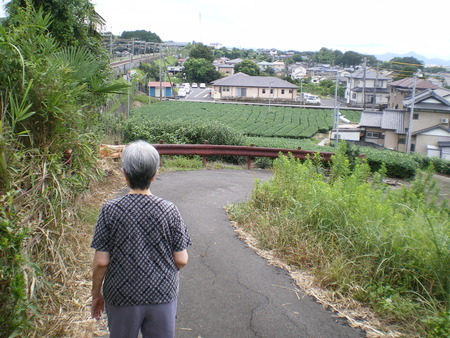 ちょっと涼しくなってきました・散策です　☆