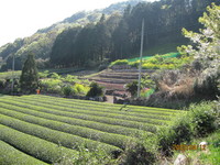 春山ハーブ・フラワー園♪