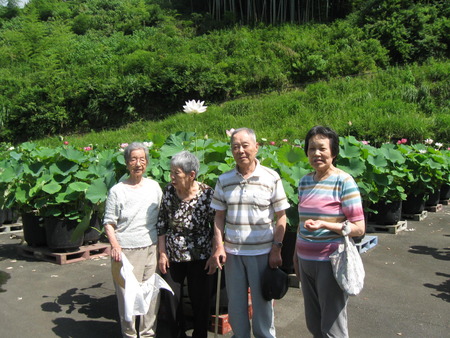 朝一番蓮興寺の水蓮を見学に・境内はとってもきれい！