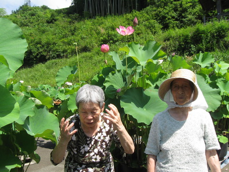 朝一番蓮興寺の水蓮を見学に・境内はとってもきれい！