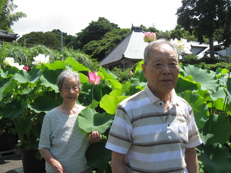 朝一番蓮興寺の水蓮を見学に・境内はとってもきれい！