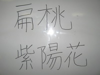 今日のレクは漢字読みの脳のトレーニング
