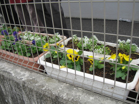 ランチのお手伝いと散歩