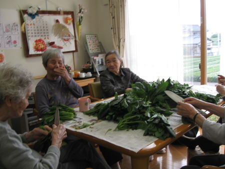 ほうれん草の頂き物をみんなできれいにしました。メニューに