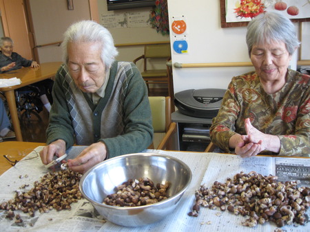間引きした小粒の生しいたけをきれいにし乾燥・佃煮にします