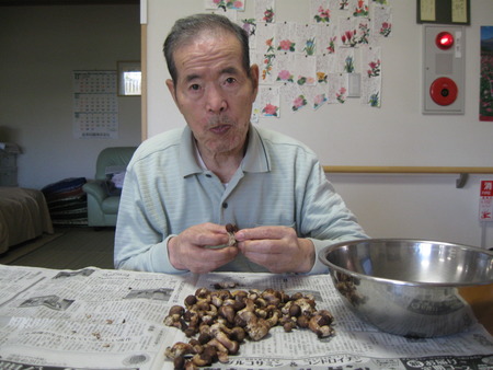 間引きした小粒の生しいたけをきれいにし乾燥・佃煮にします