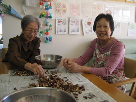 間引きした小粒の生しいたけをきれいにし乾燥・佃煮にします