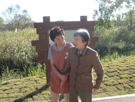 今日の午後はドライブ・田子ノ浦海岸や浮島ヶ原自然公園へ