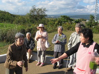 今日の午後はドライブ・田子ノ浦海岸や浮島ヶ原自然公園へ