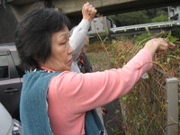 皆さんで周辺のお掃除です
