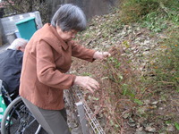 皆さんで周辺のお掃除です