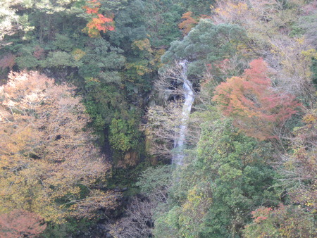 今日の午前中天気が良かったので大棚の滝に紅葉見物に