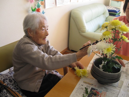観賞用の菊が終了です・その菊を頂き生け花にしました