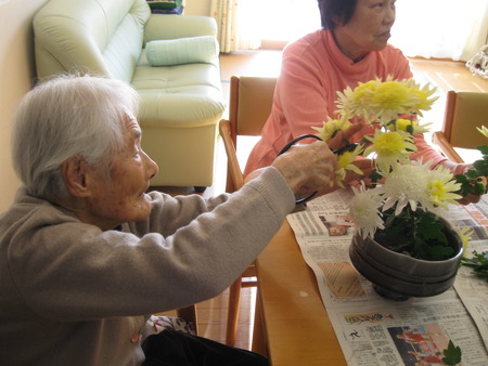 観賞用の菊が終了です・その菊を頂き生け花にしました