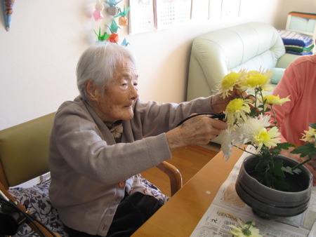 観賞用の菊が終了です・その菊を頂き生け花にしました
