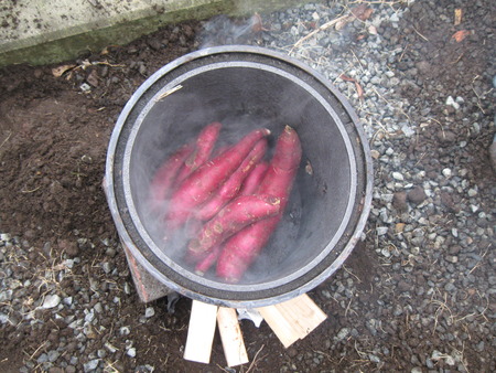 焼き芋作り・カーボン容器の特注の釜で焼きました。ホクホク
