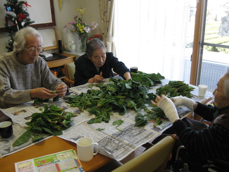 ほうれん草のいただきもの・どんなメニューにしようかな