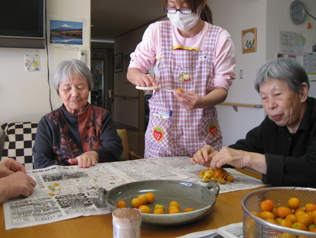 昨日採ったきんかんを圧力で甘く煮るため種を取る作業します