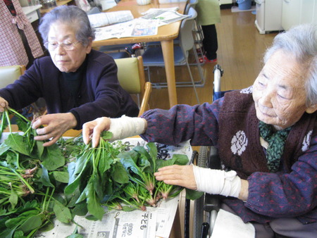 ほうれん草をたくさん頂きました。手分けして下準備