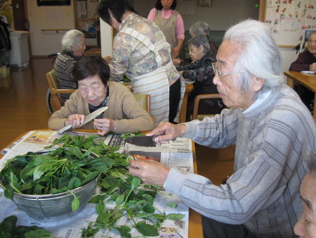 ほうれん草をいただきました。皆さんでした処理をしましょう