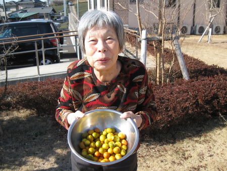 庭で採れた金柑を皆さんでデザートにしましょう　♪♪