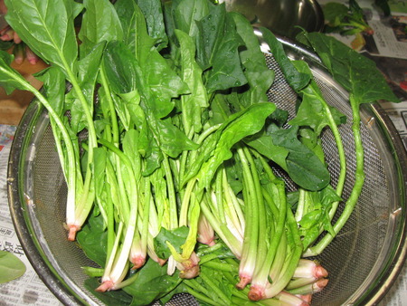 ほうれん草の胡麻あえを皆さんと一緒に