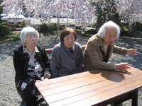 第２陣の方が午後本妙寺へしだれ桜の見学に行ってきました