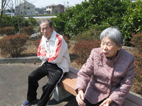 第２陣の方が午後本妙寺へしだれ桜の見学に行ってきました