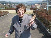 第２陣の方が午後本妙寺へしだれ桜の見学に行ってきました