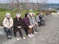 第２陣の方が午後本妙寺へしだれ桜の見学に行ってきました