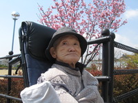 第２陣の方が午後本妙寺へしだれ桜の見学に行ってきました