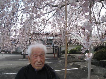 第２陣の方が午後本妙寺へしだれ桜の見学に行ってきました